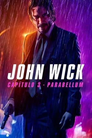 مشاهدة فيلم John Wick 3 مترجم